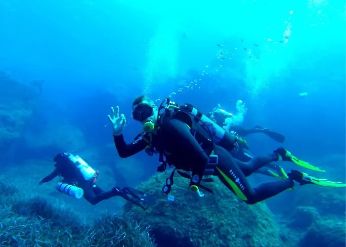 Comfy 2br Flat In The Heart Of By Buena Vista